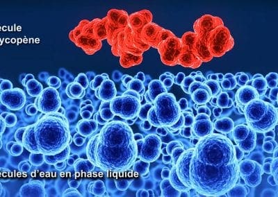 Vue 3D de molécule de lycopène et d'eau